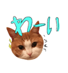 楽しげなたまみ（個別スタンプ：15）