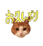 楽しげなたまみ（個別スタンプ：18）