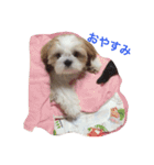 ケンの日常（個別スタンプ：6）