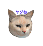 うず君とマロぴん 2（個別スタンプ：5）