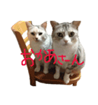 うず君とマロぴん 2（個別スタンプ：9）