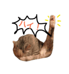 うず君とマロぴん 2（個別スタンプ：12）