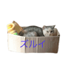 うず君とマロぴん 2（個別スタンプ：18）