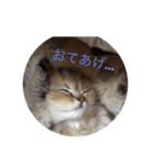 うらんスタンプ（個別スタンプ：8）