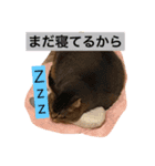 スーパーつくねタイム（個別スタンプ：7）