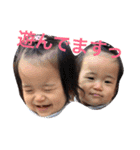 hinakoko 3（個別スタンプ：6）