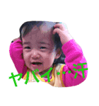 hinakoko 3（個別スタンプ：11）