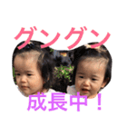 hinakoko 3（個別スタンプ：12）