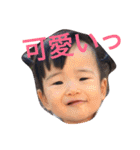 hinakoko 3（個別スタンプ：14）