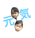 hinakoko 3（個別スタンプ：17）