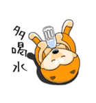 shiba inu genki（個別スタンプ：6）