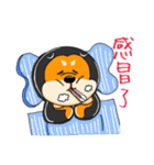 shiba inu genki（個別スタンプ：16）