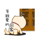 shiba inu genki（個別スタンプ：20）