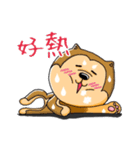 shiba inu genki（個別スタンプ：22）