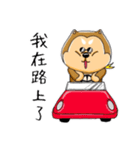 shiba inu genki（個別スタンプ：35）