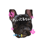 フレブル・ジャズくんスタンプ②（個別スタンプ：15）