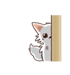 Japanese Spitz.（個別スタンプ：35）