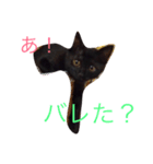 黒猫ハニ3（個別スタンプ：5）