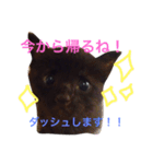 黒猫ハニ3（個別スタンプ：23）