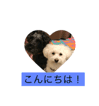 犬のあいさつ版（個別スタンプ：5）