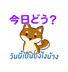 ラブラブ犬 : 大好き タイ語+日本語（個別スタンプ：5）