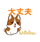 ラブラブ犬 : 大好き タイ語+日本語（個別スタンプ：13）
