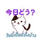 ラブラブ猫 : 大好き タイ語+日本語（個別スタンプ：5）