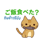 ラブラブ猫 : 大好き タイ語+日本語（個別スタンプ：6）