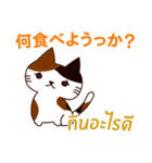 ラブラブ猫 : 大好き タイ語+日本語（個別スタンプ：7）