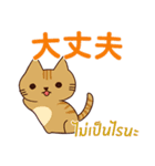 ラブラブ猫 : 大好き タイ語+日本語（個別スタンプ：13）