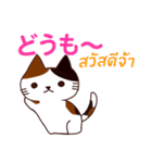ラブラブ猫 : 大好き タイ語+日本語（個別スタンプ：17）