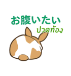 ラブラブウサギ : 大好き タイ語+日本語（個別スタンプ：10）