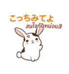 ラブラブウサギ : 大好き タイ語+日本語（個別スタンプ：22）