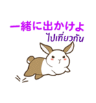 ラブラブウサギ : 大好き タイ語+日本語（個別スタンプ：29）