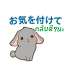 ラブラブウサギ : 大好き タイ語+日本語（個別スタンプ：31）