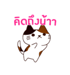 ラブラブ猫 : 大好き タイ語（個別スタンプ：3）