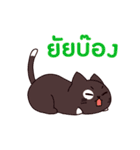 ラブラブ猫 : 大好き タイ語（個別スタンプ：4）