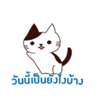 ラブラブ猫 : 大好き タイ語（個別スタンプ：5）