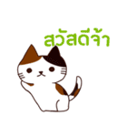 ラブラブ猫 : 大好き タイ語（個別スタンプ：17）