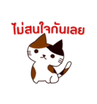 ラブラブ猫 : 大好き タイ語（個別スタンプ：23）