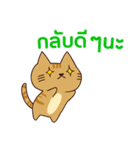 ラブラブ猫 : 大好き タイ語（個別スタンプ：31）