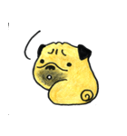 文字無しスタンプ PUG（個別スタンプ：13）