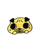 文字無しスタンプ PUG（個別スタンプ：20）