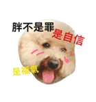 Bad Dog Aboo（個別スタンプ：1）