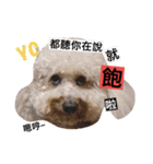 bad dog aboo2（個別スタンプ：6）