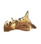 スバル猫（個別スタンプ：13）