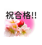 合格祝いに花を♪桜（個別スタンプ：1）