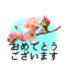 合格祝いに花を♪桜（個別スタンプ：3）