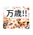 合格祝いに花を♪桜（個別スタンプ：16）