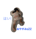 いろは#12（個別スタンプ：26）